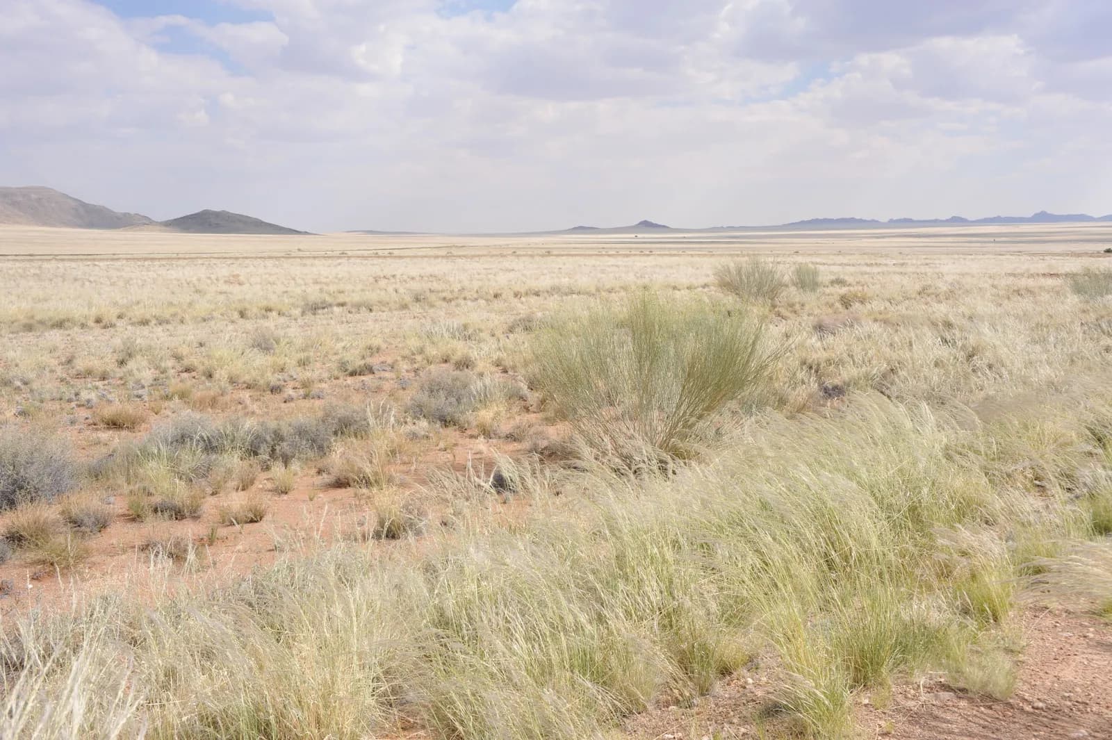 Wide landscape view of a dry arid desert plain with sparse grass and distant hills under cloudy sky