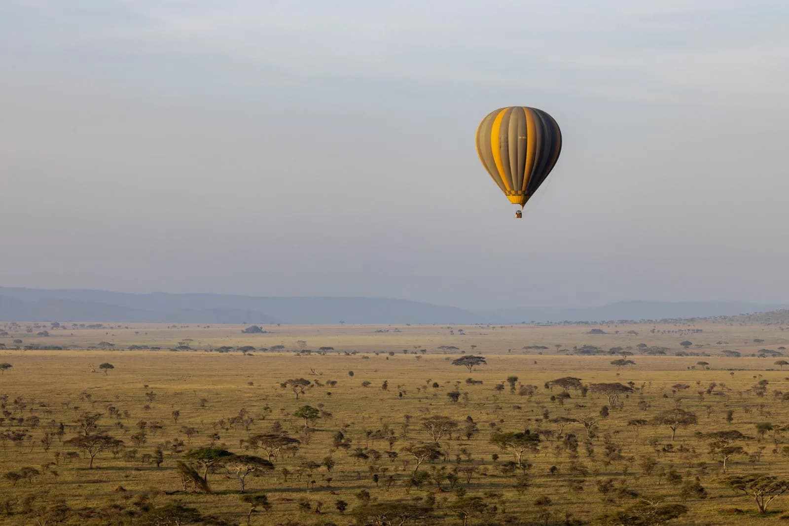 Hot air balloon flying over the vast african savanna landscape during a morning safari adventure