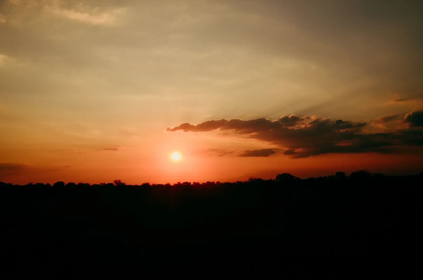 Vibrant golden hour sunset sky with dark silhouette of horizon line for nature background concepts