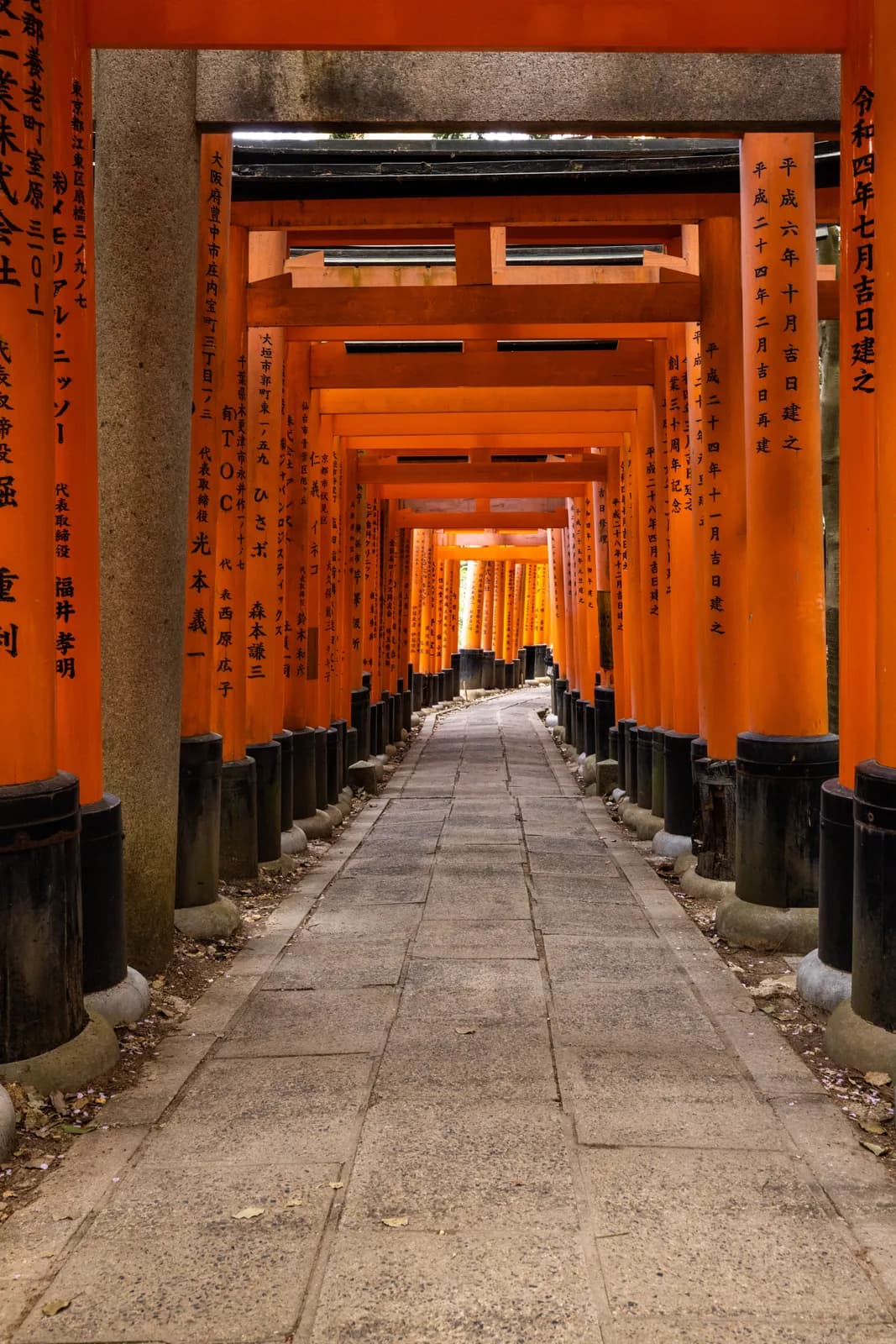 Orange torii gates path at fushimi inari shrine in kyoto japan during a peaceful morning walk