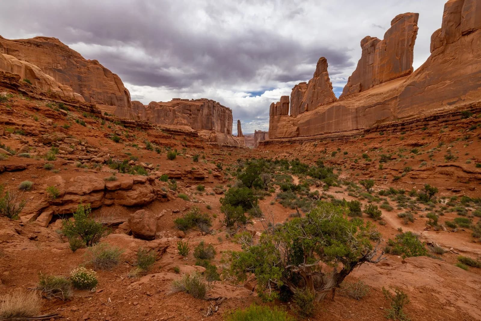 Scenic view of red rock canyon formations under a cloudy sky in the american southwest desert