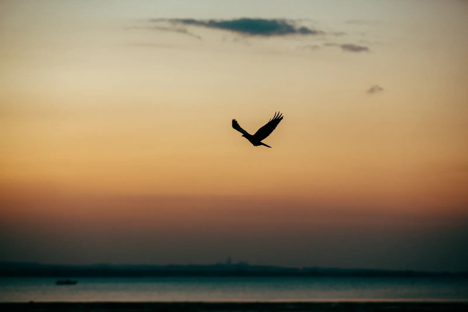 Silhouette of a bird flying over the ocean during a peaceful golden hour sunset