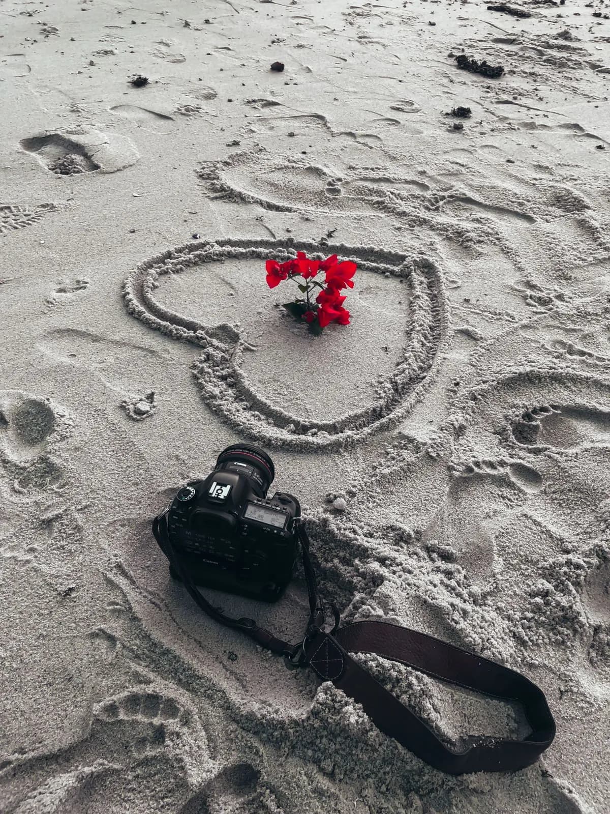 Camera placed on sandy beach with a heart shape drawn in sand and red bougainvillea flowers