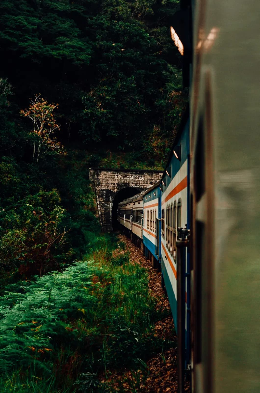 Passenger train moving through a dark mountain tunnel surrounded by lush green forest landscape