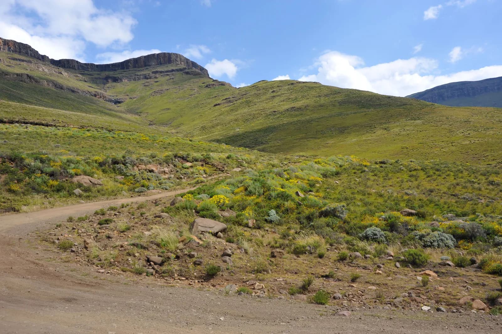 Scenic dirt road winding through a green mountain valley under a bright blue sky in summer