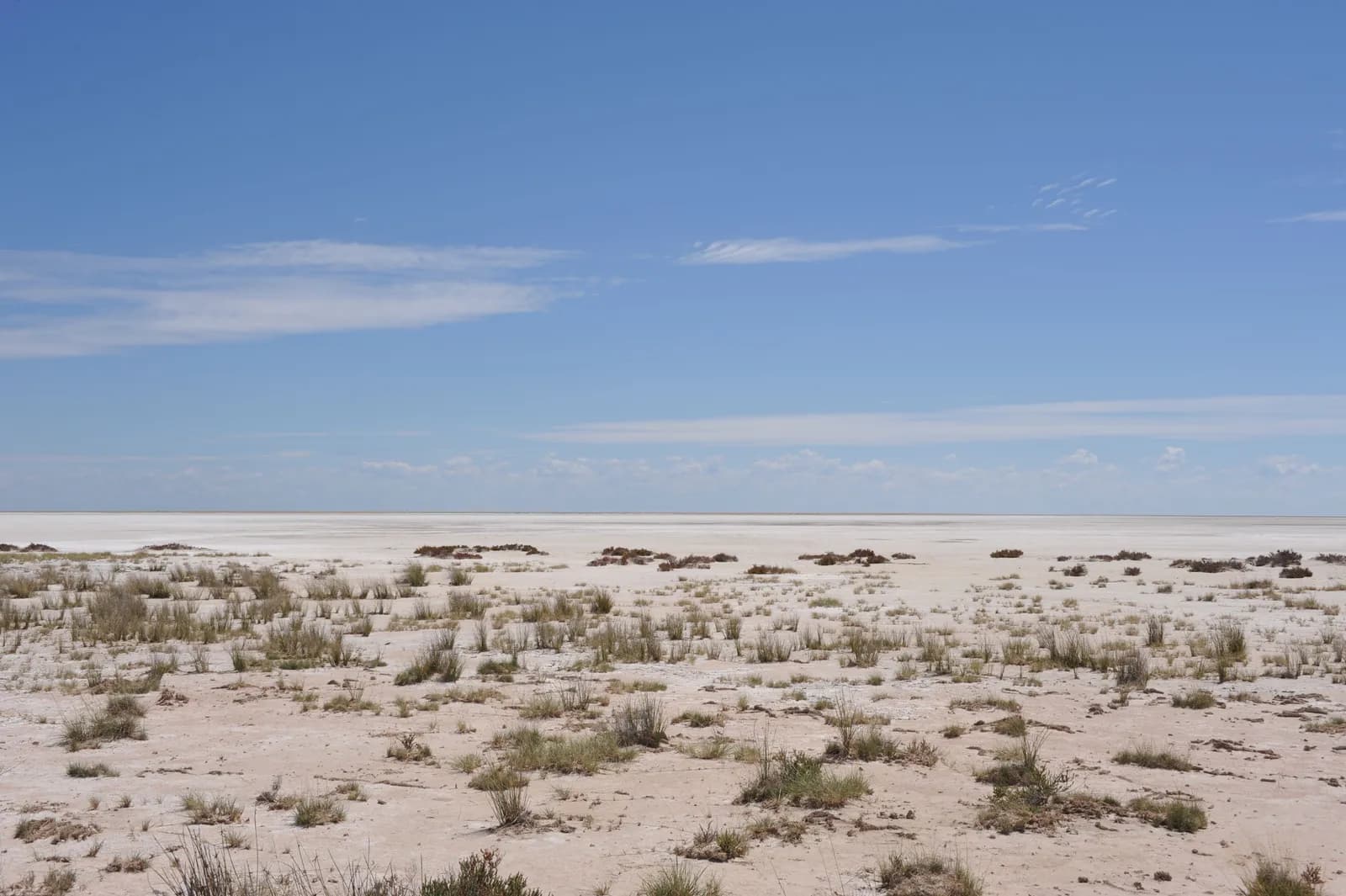 Vast arid salt flat landscape with sparse desert vegetation under a clear blue sky in summer