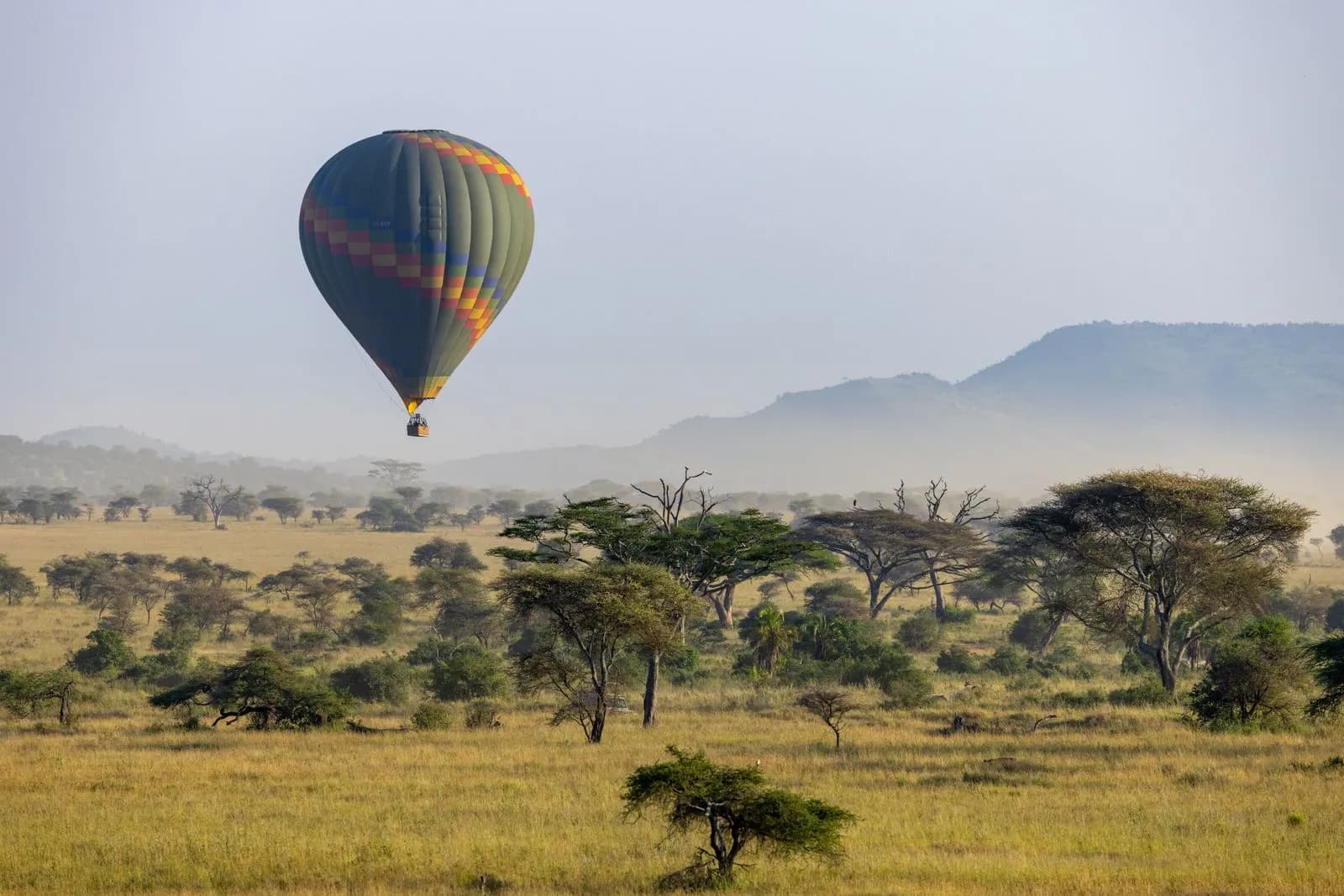Hot air balloon flying over the african savanna landscape during a morning safari adventure