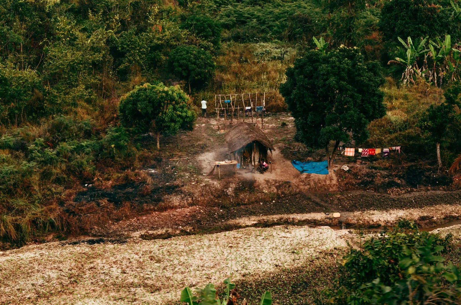 Small rural hut with thatched roof in a remote tropical forest landscape setting