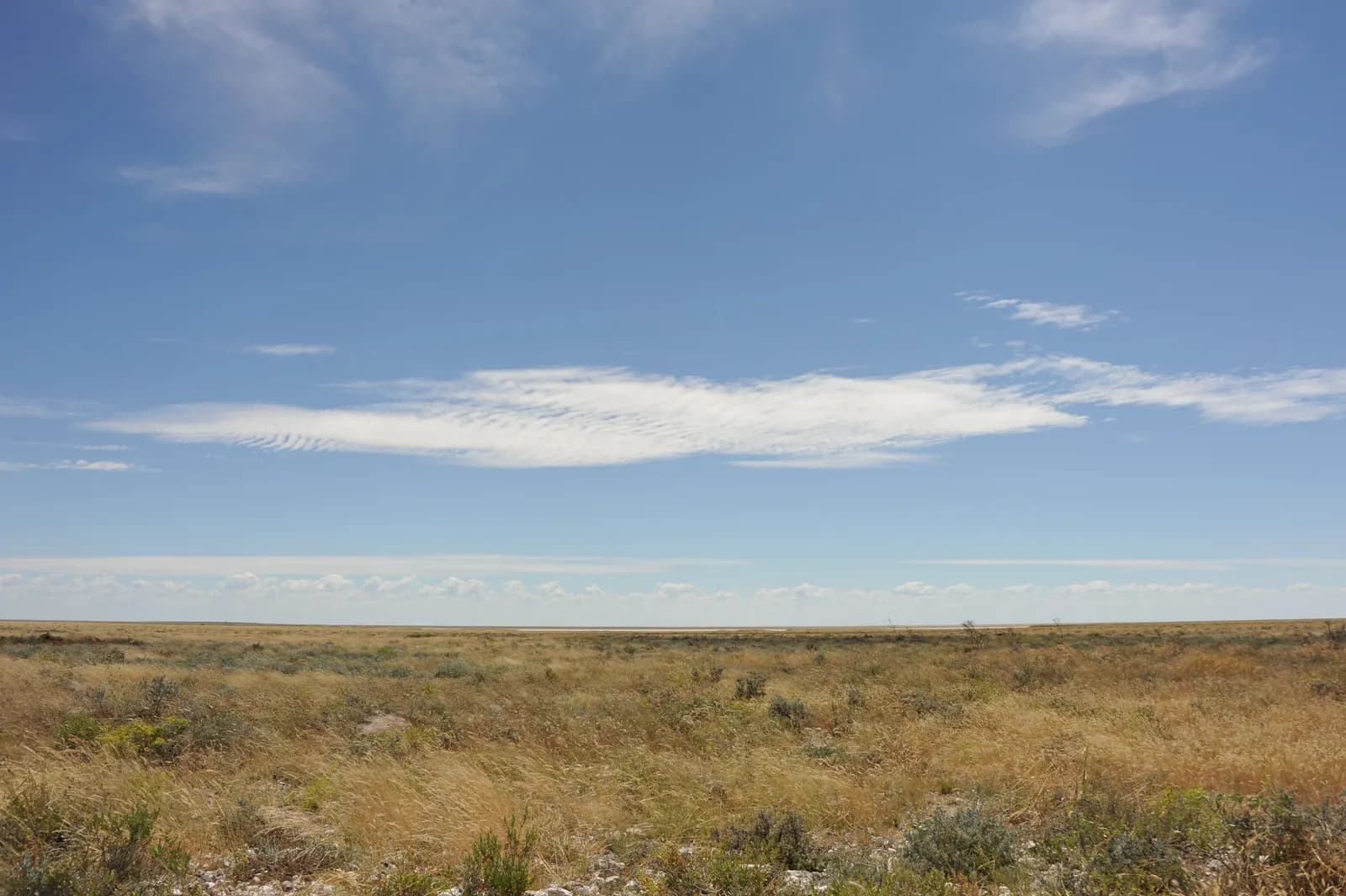 Wide landscape view of a dry grassy field under a bright blue sky with scattered white clouds