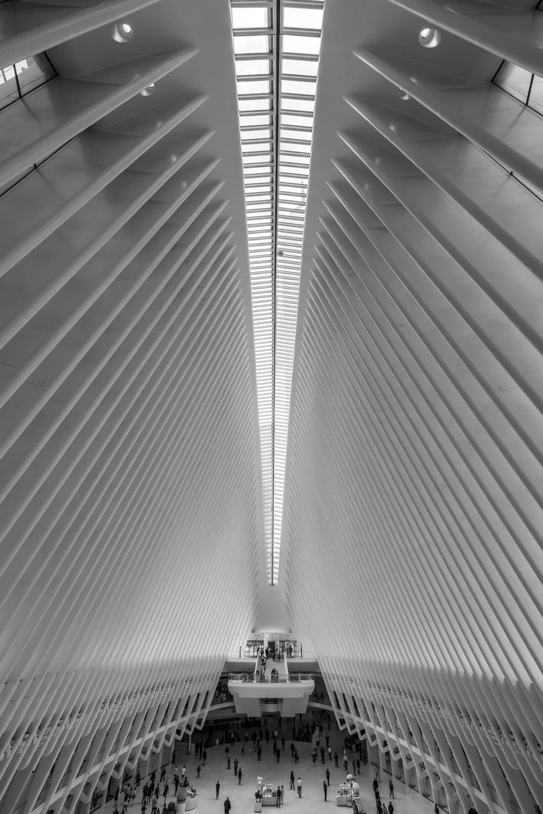 Symmetrical interior view of modern transportation hub with white ribbed ceiling and skylight