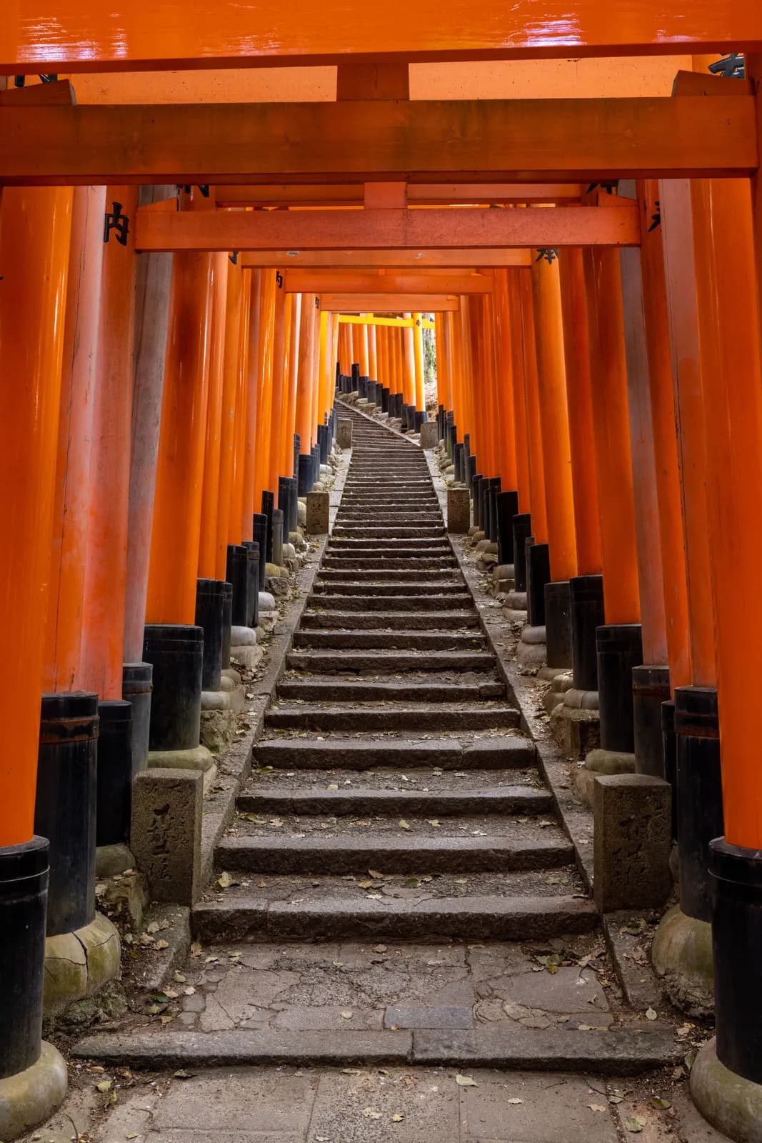 Orange torii gates path at fushimi inari shrine in kyoto japan for travel and cultural tourism