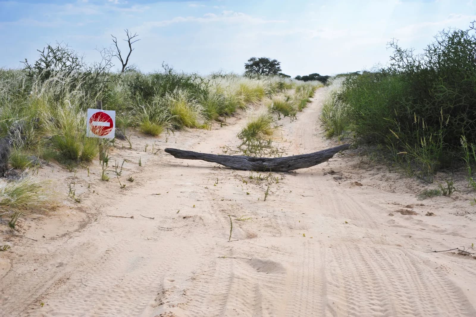 Dirt road blocked by a fallen tree trunk and a no entry sign in a rural african landscape