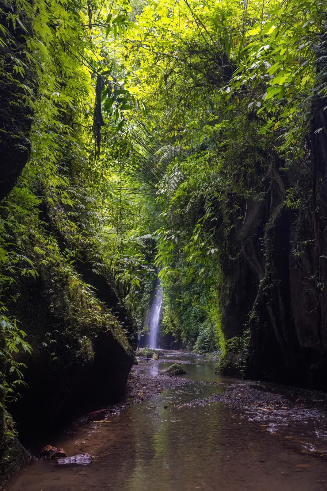 Scenic waterfall flowing into a tropical river canyon surrounded by lush green jungle foliage
