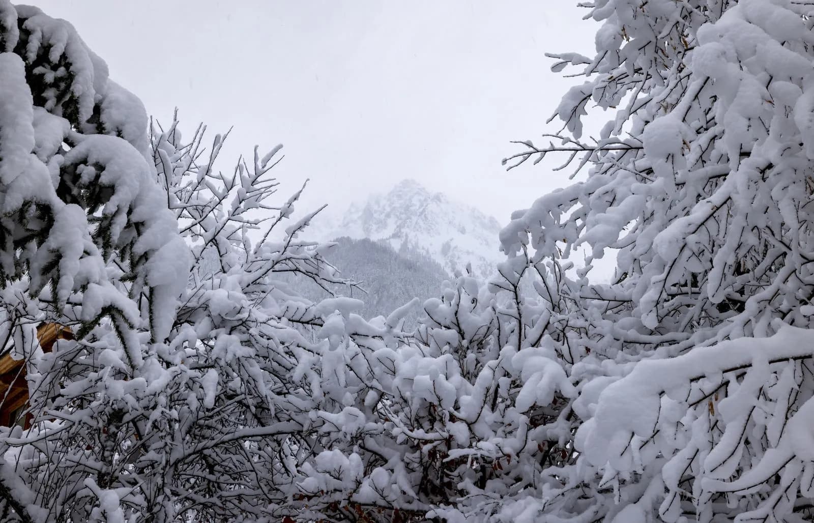 Scenic winter landscape with snow covered trees and mountain peak in the background during daytime