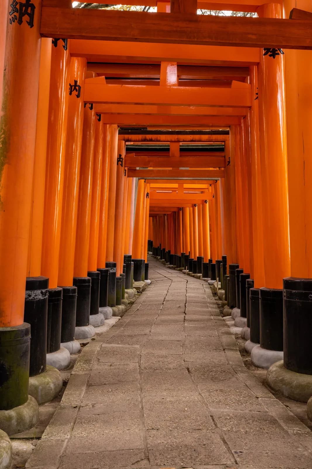 Orange torii gates path at fushimi inari shrine in kyoto japan for travel and cultural tourism