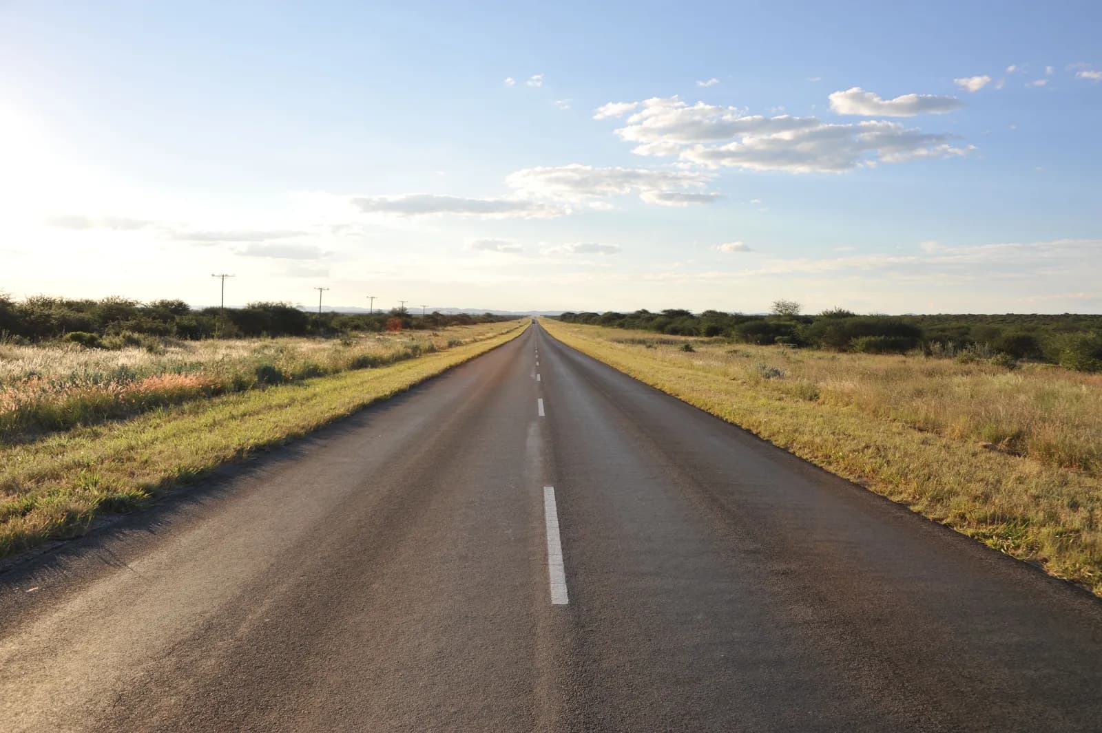 Empty asphalt road stretching into the horizon through a rural landscape at sunset