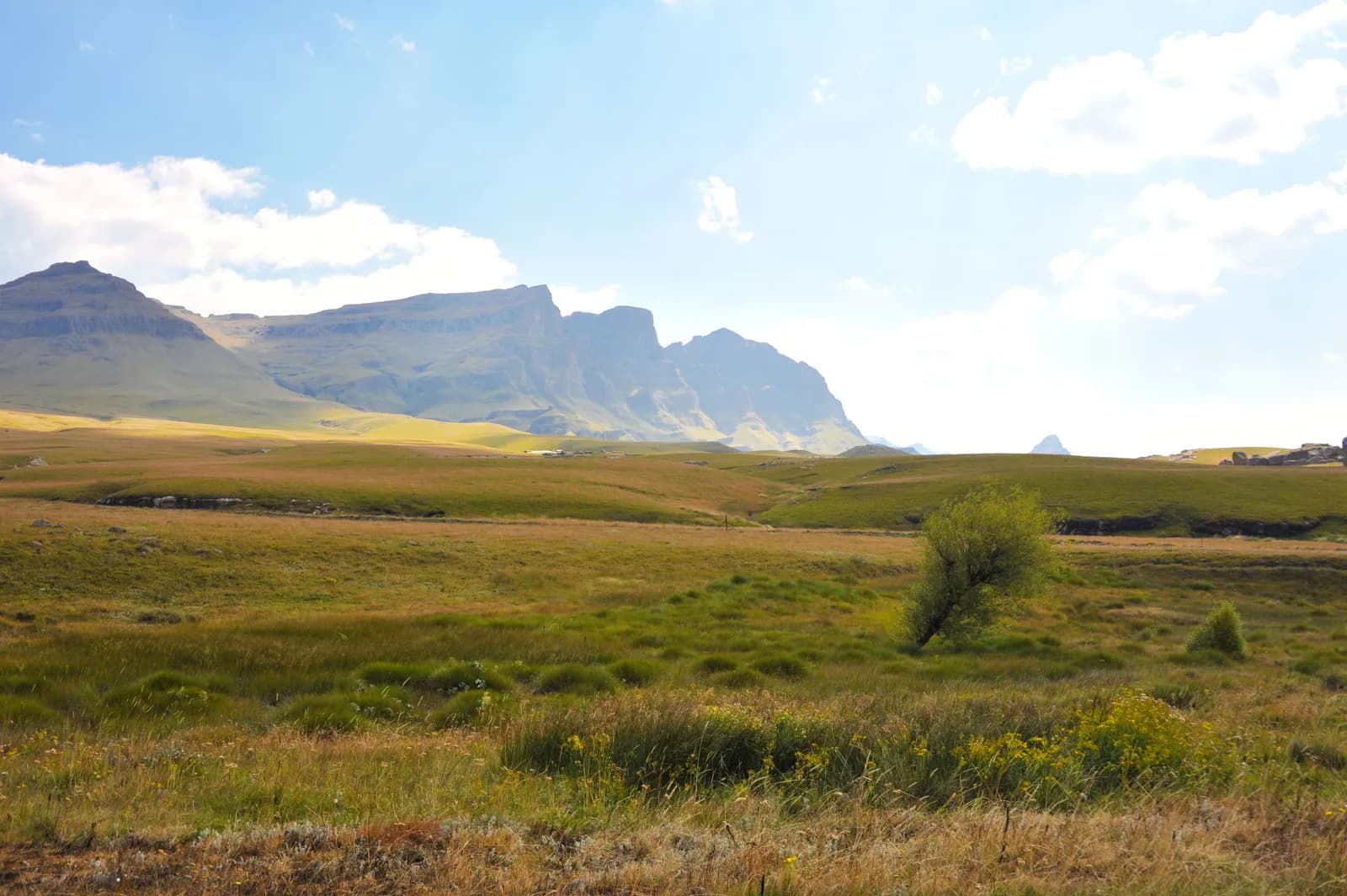 Scenic mountain landscape with grassy meadow and blue sky in south africa drakensberg region