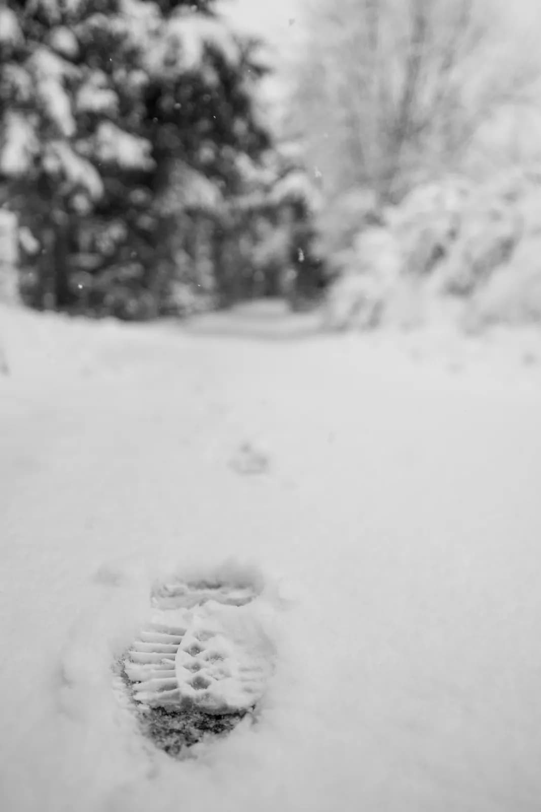 Single boot footprint in fresh white snow on a forest path during a cold winter day