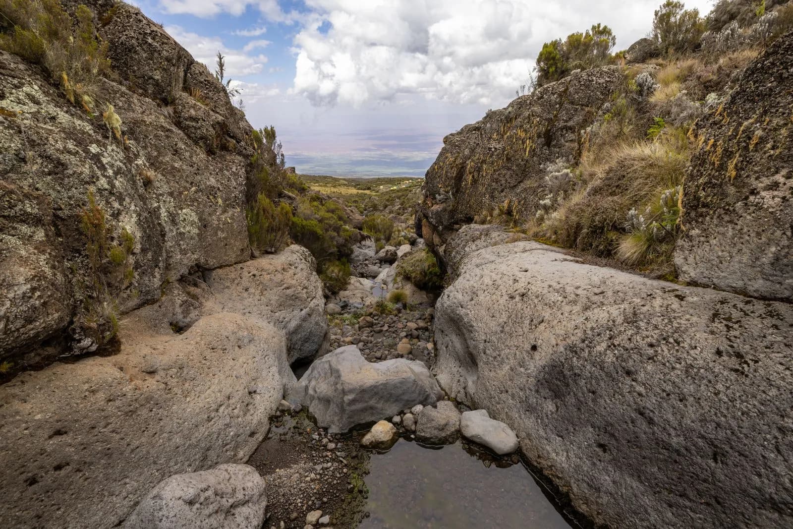 Rocky mountain landscape with a small stream flowing through a narrow canyon in the wilderness