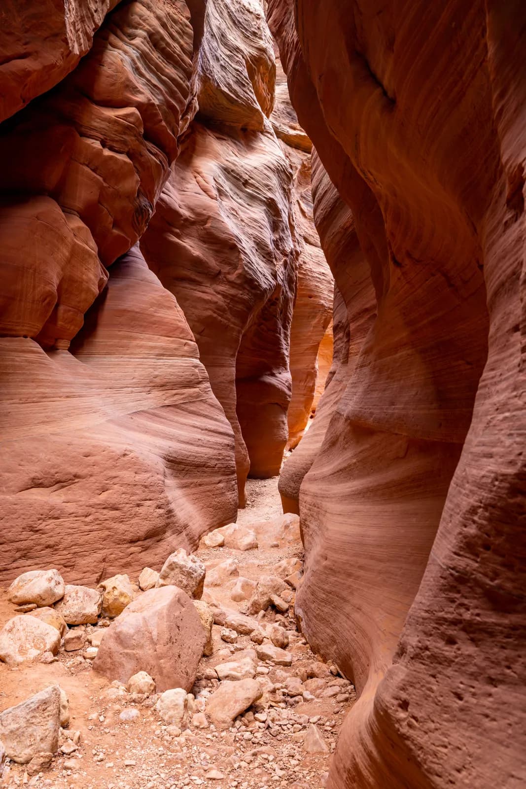 Narrow slot canyon with towering red sandstone walls and rocky desert floor in a remote wilderness