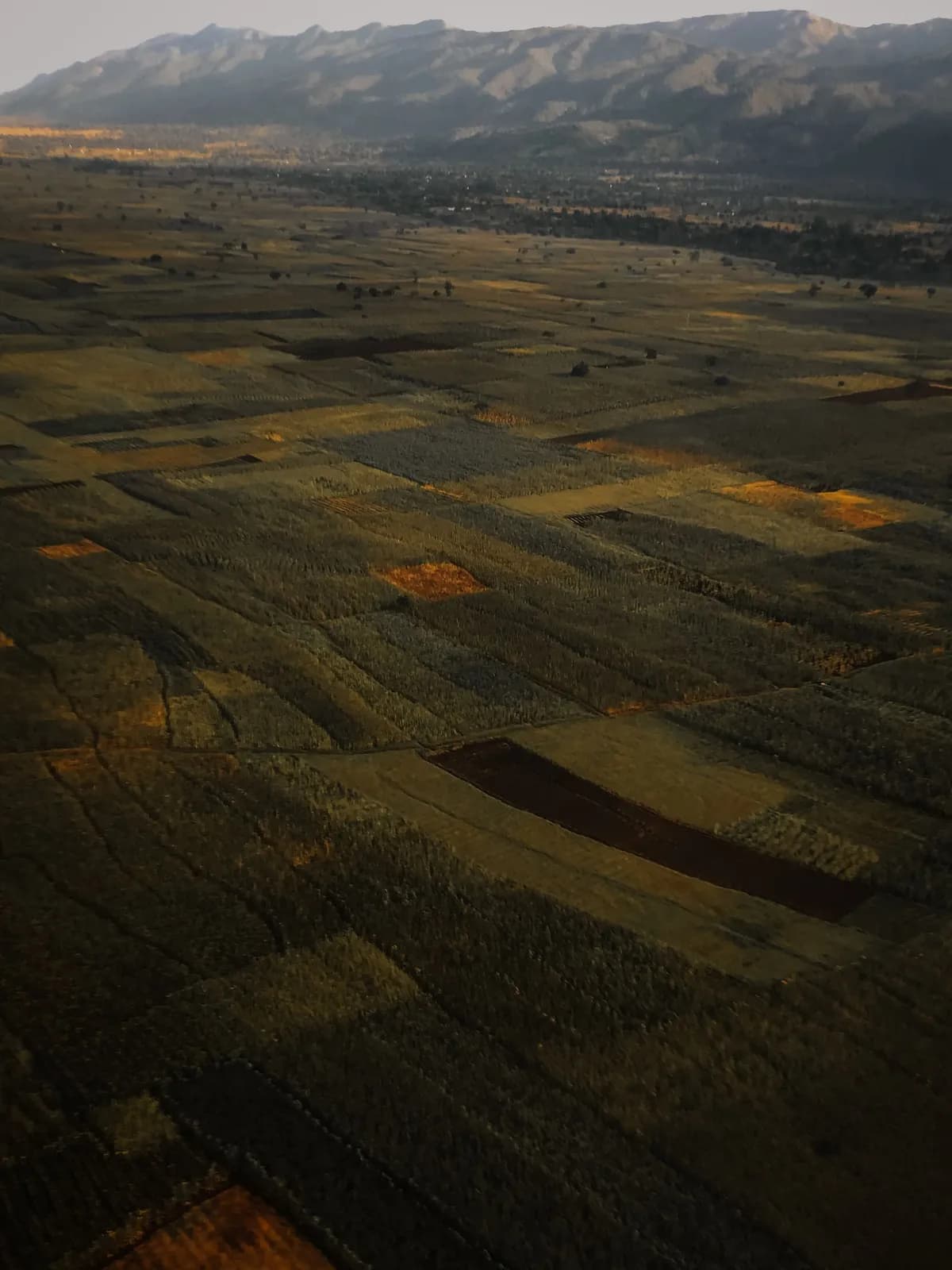 Aerial view of agricultural farmland fields with mountains in the background at sunset golden hour