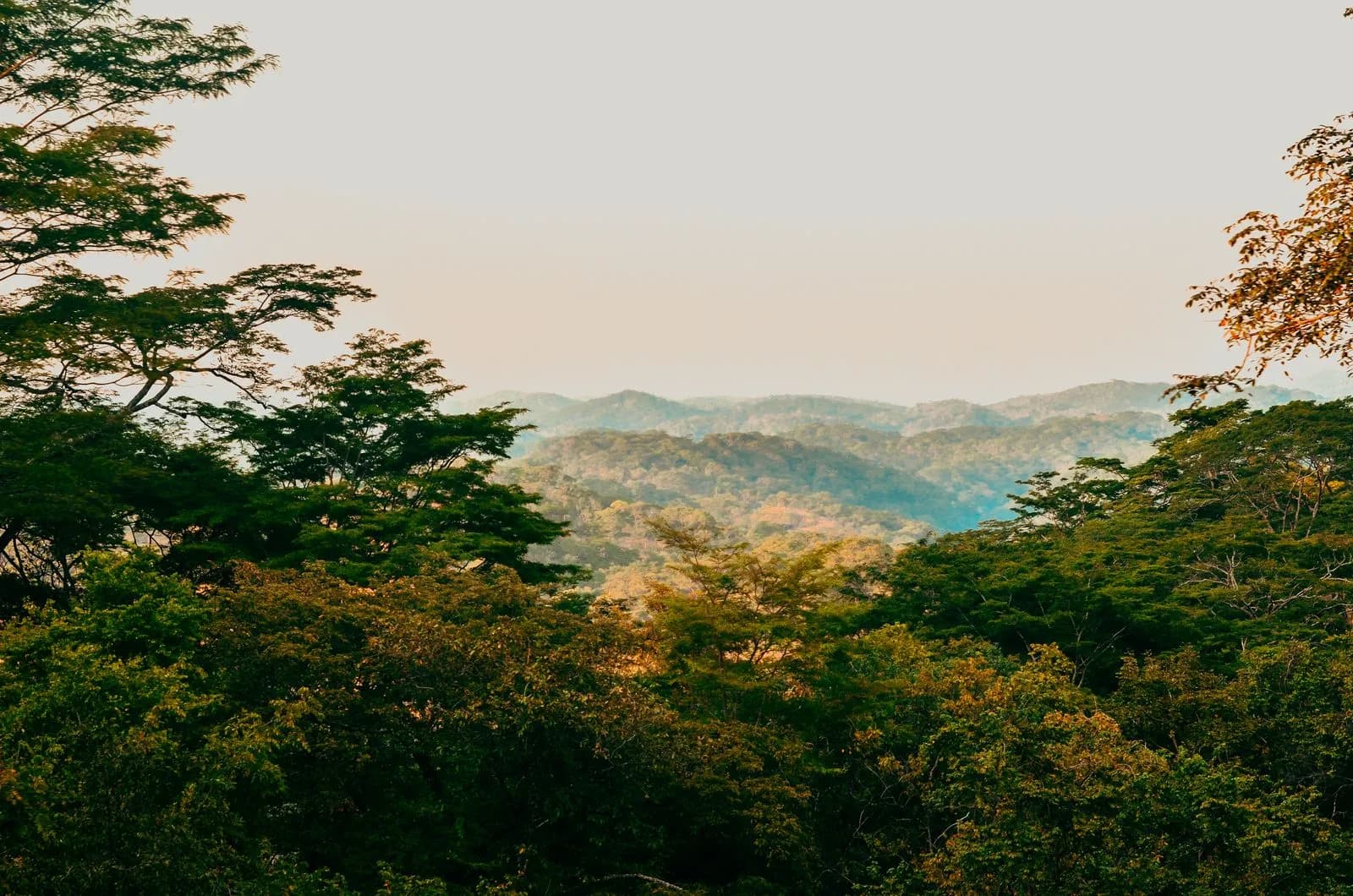 Scenic view of tropical rainforest mountains at sunset with lush green trees in the foreground