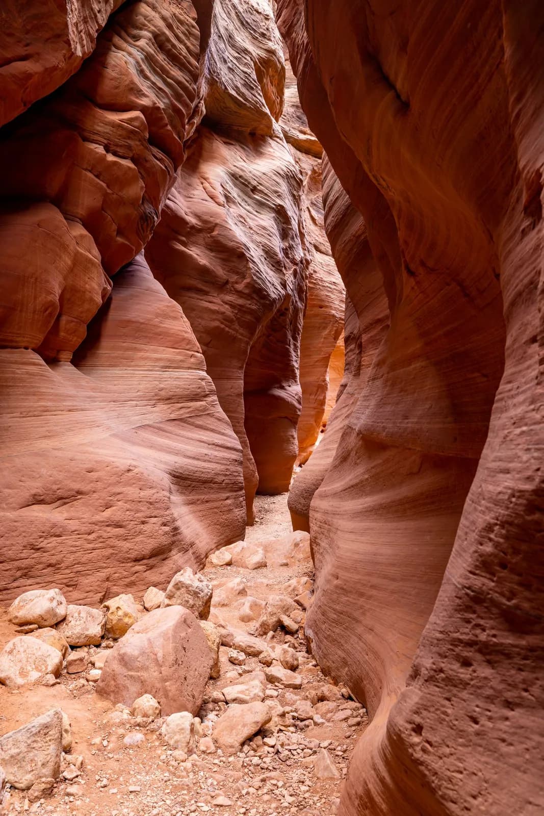 Narrow slot canyon with towering red sandstone walls and rocky desert floor in a remote wilderness