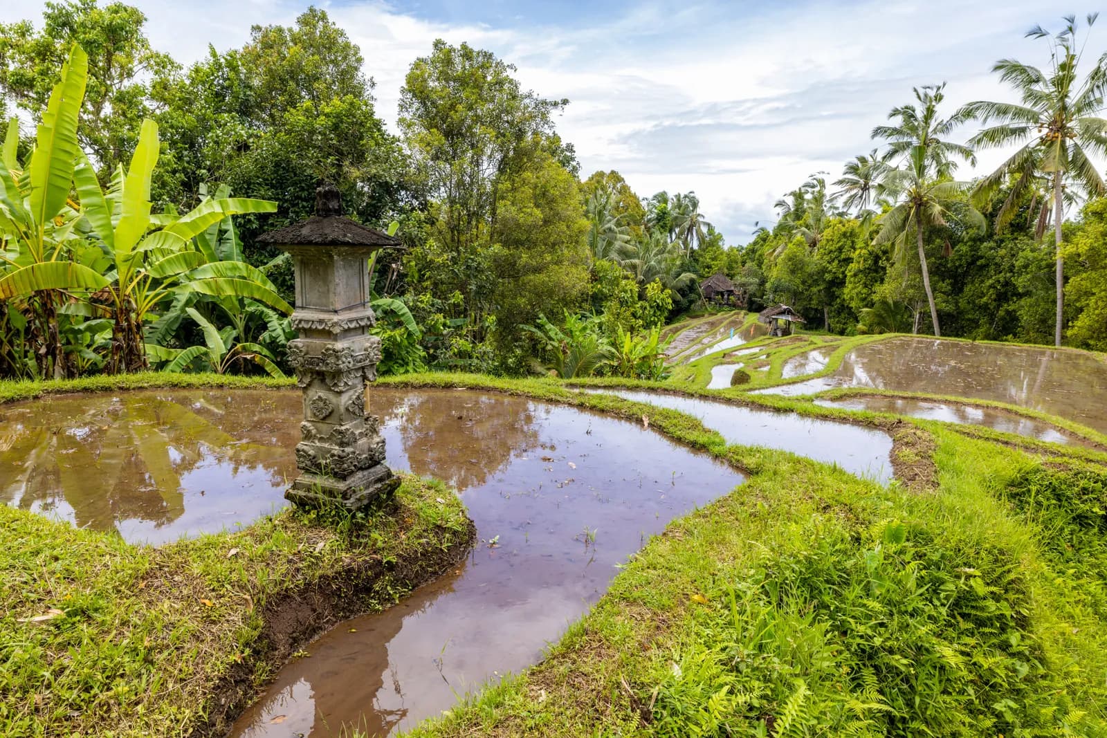 Traditional stone lantern in lush green bali rice terrace fields with tropical palm trees landscape