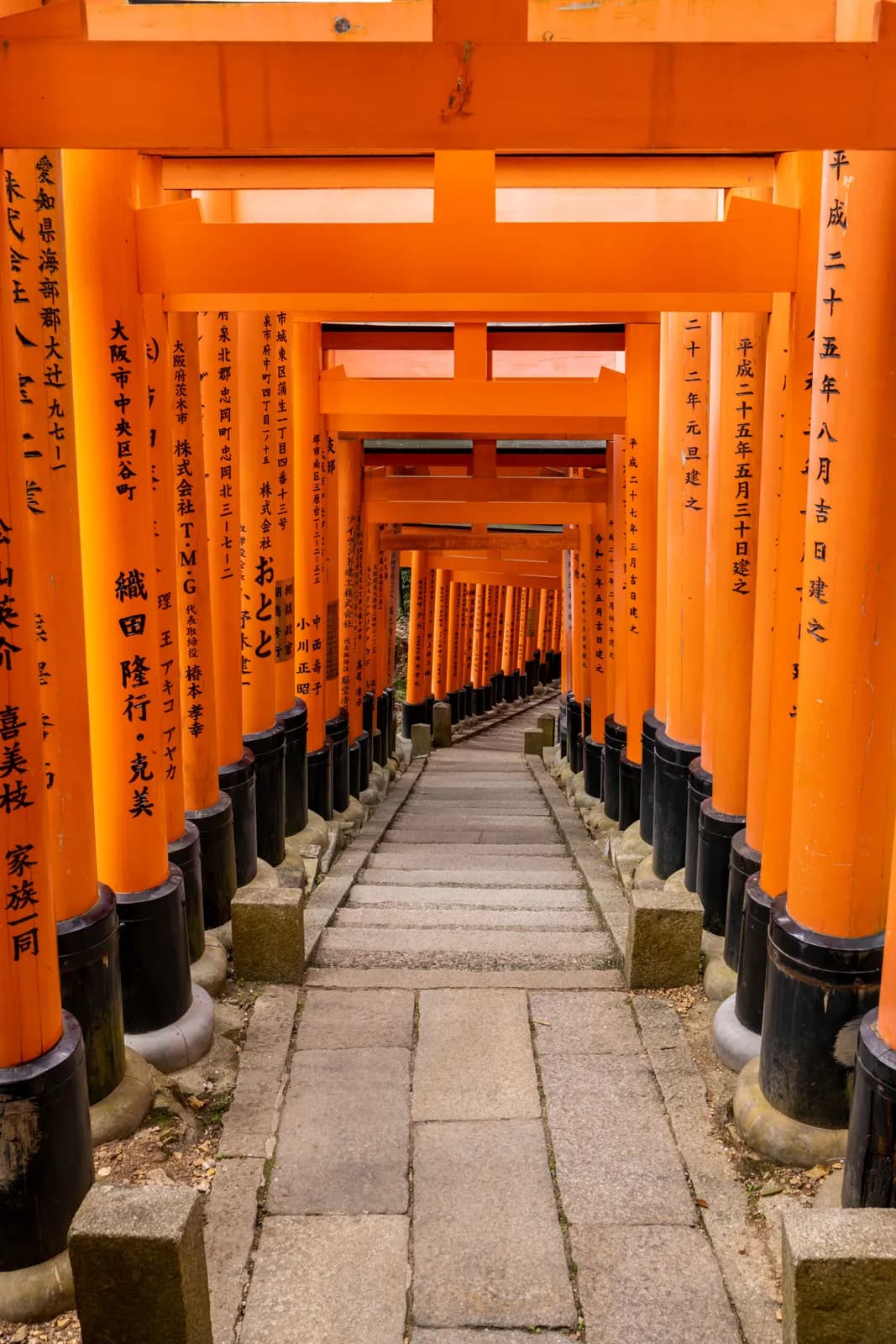 Vibrant orange torii gates path at fushimi inari shrine in kyoto japan