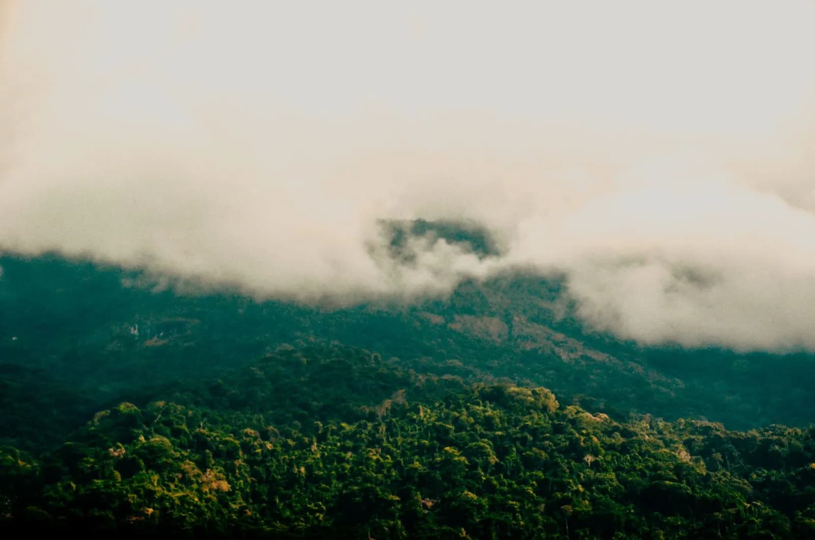 Misty tropical rainforest mountains covered in dense clouds during a cloudy morning landscape view