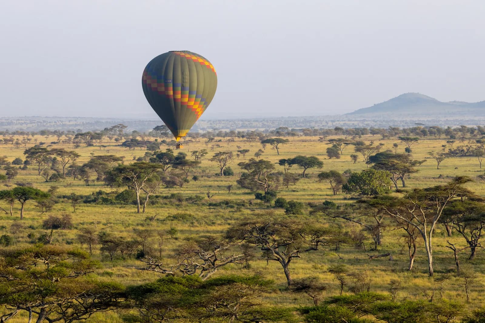 Hot air balloon flying over the african savanna landscape during a morning safari adventure