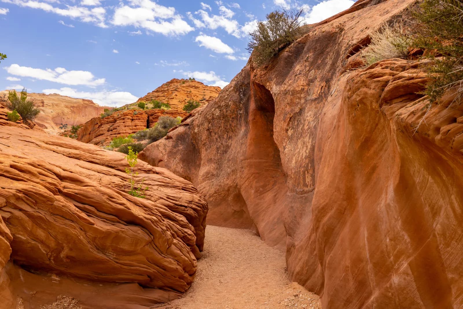Narrow slot canyon with red sandstone rock formations under a bright blue sky in the desert