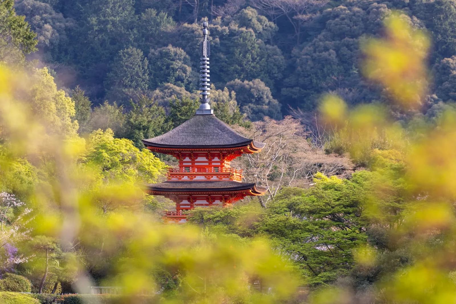 Traditional japanese pagoda temple surrounded by lush green forest trees in spring season