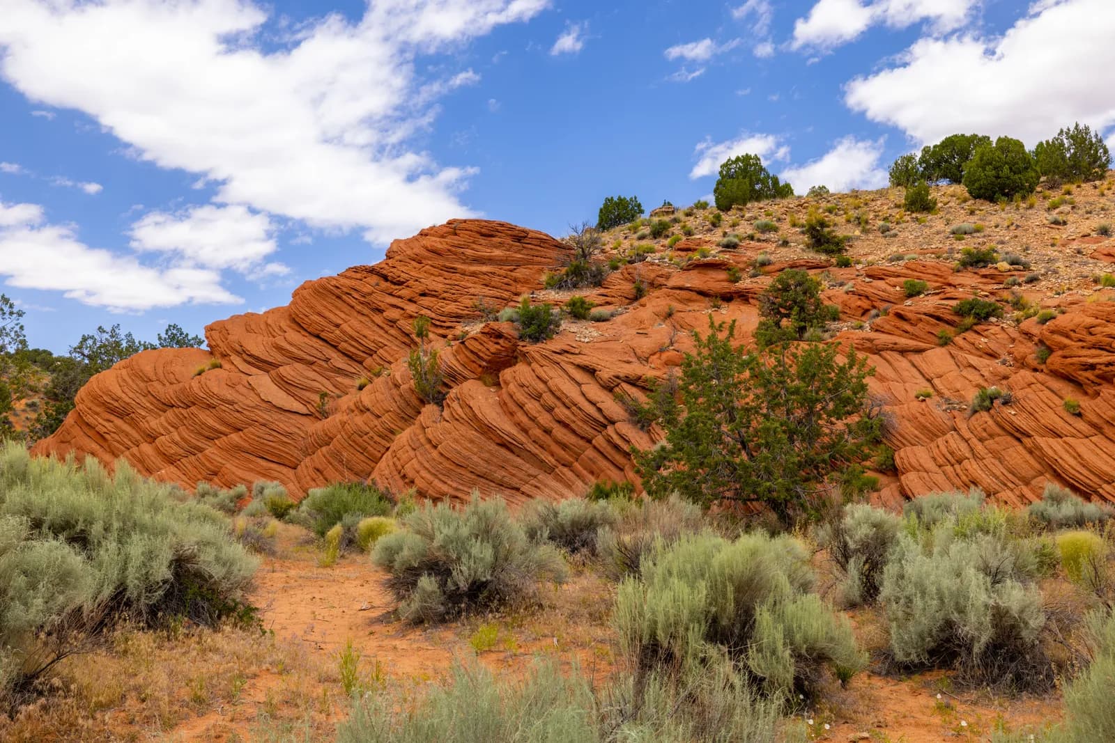 Red sandstone rock formations in the desert landscape under a blue sky with white clouds