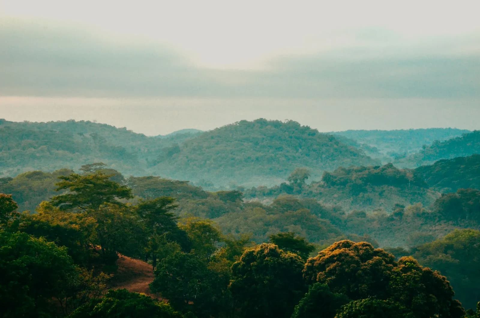 Scenic landscape view of lush green tropical hills under a cloudy morning sky in the countryside