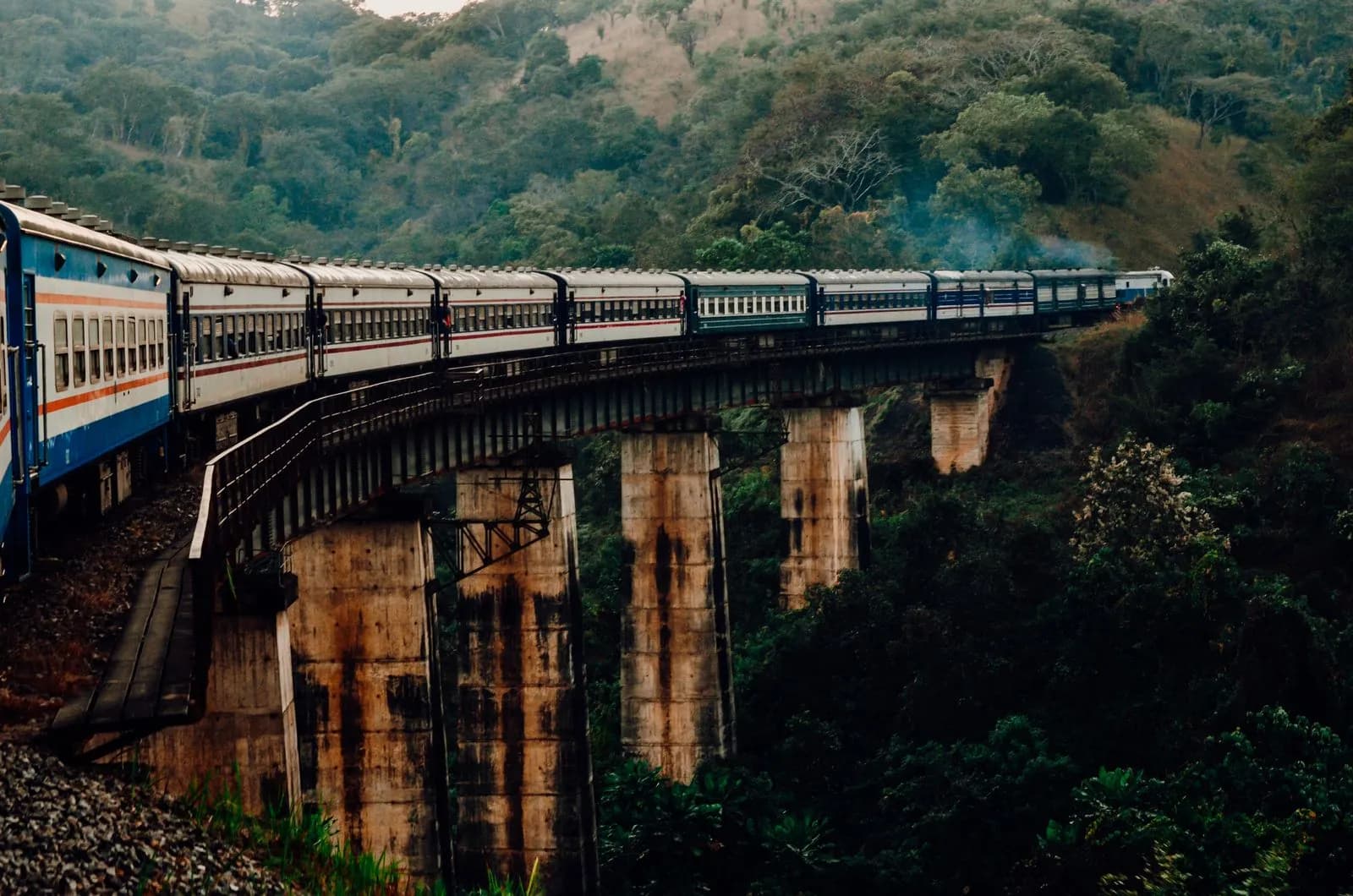 Passenger train moving across a high concrete bridge in a lush tropical forest landscape