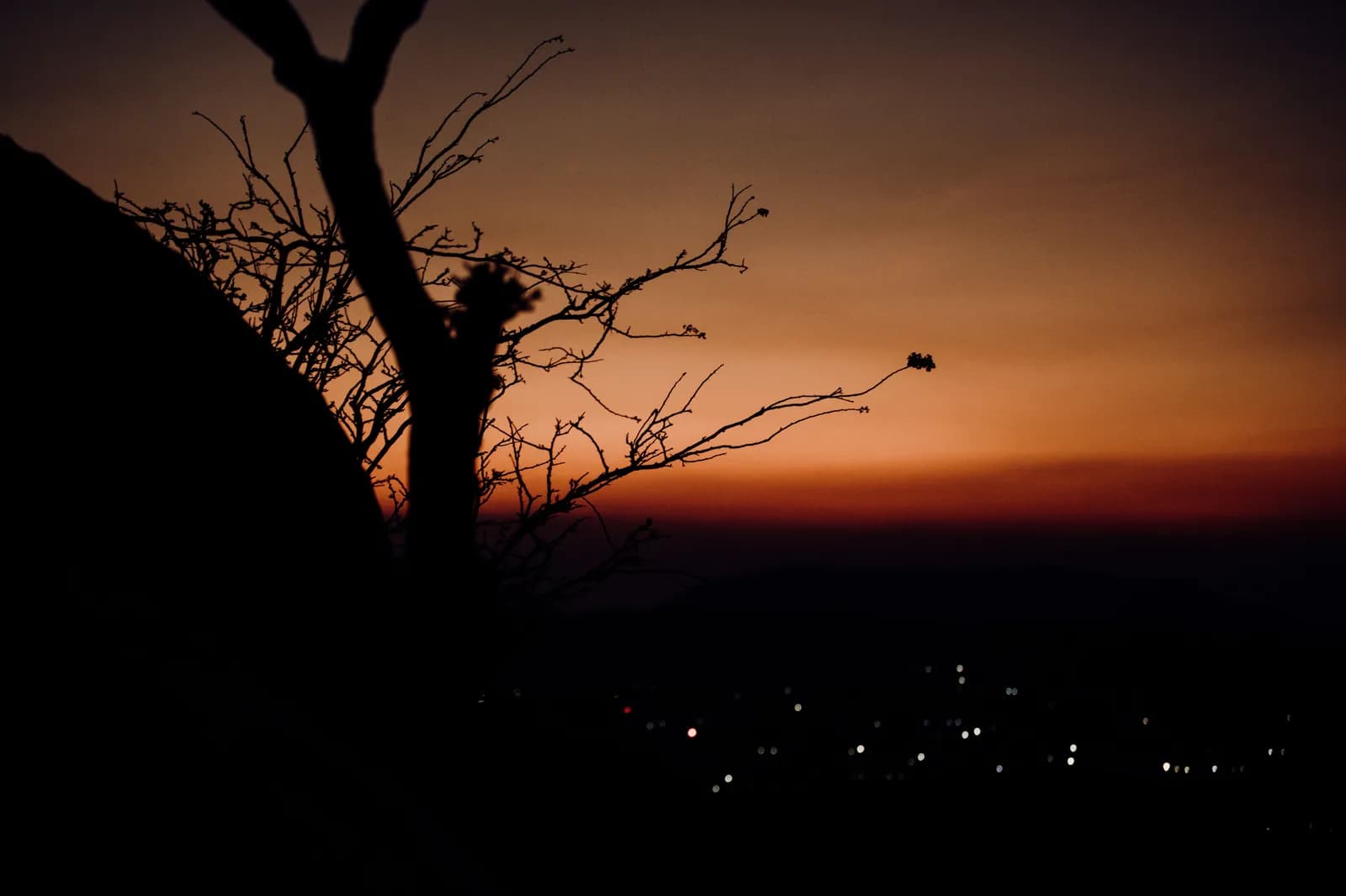 Dramatic silhouette of a bare tree against a vibrant orange sunset sky over a dark landscape