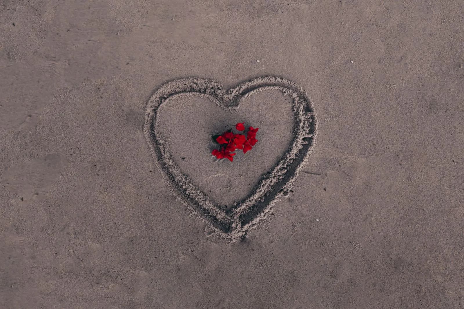 Heart shape drawn in the sand with red flower petals for valentines day romantic concept