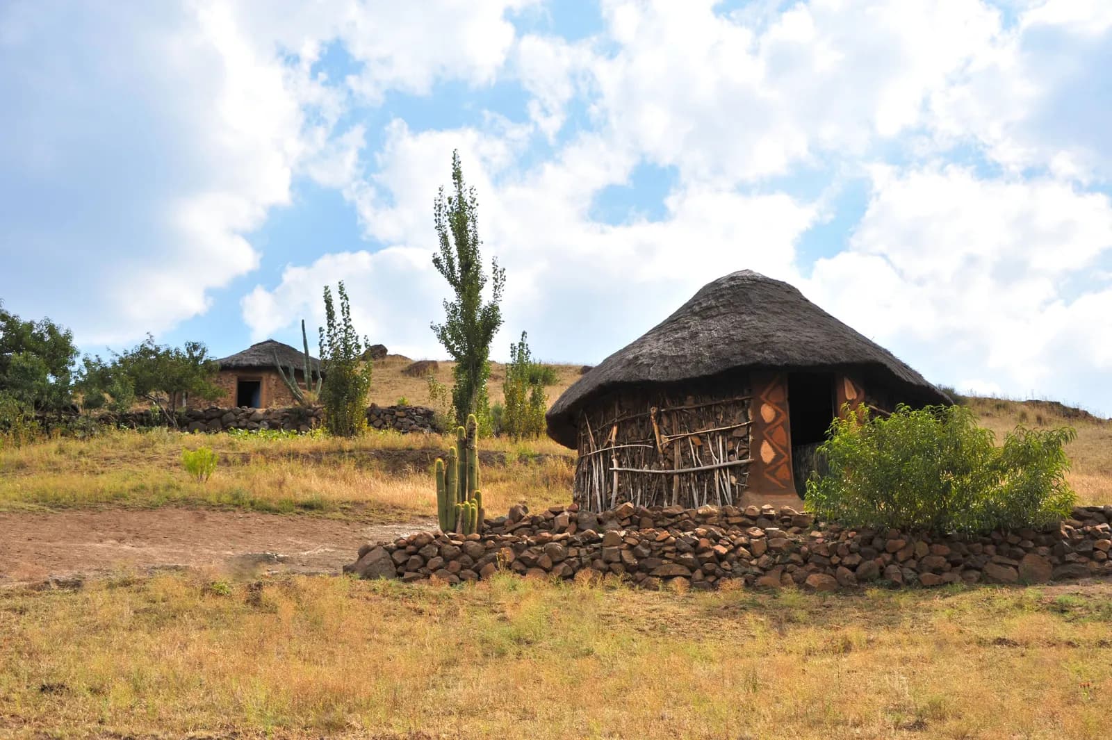Traditional thatched roof huts in a rural african landscape with cactus and stone walls