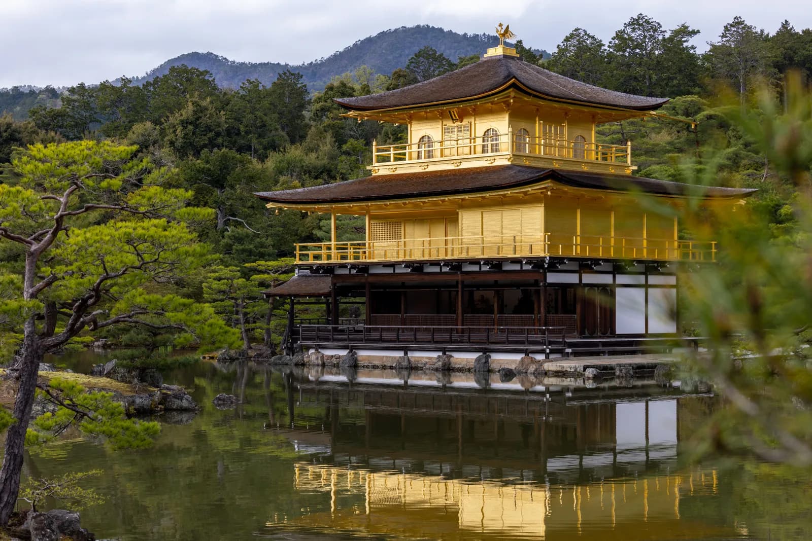 Kinkaku ji golden pavilion temple reflecting in the pond in kyoto japan during a cloudy day
