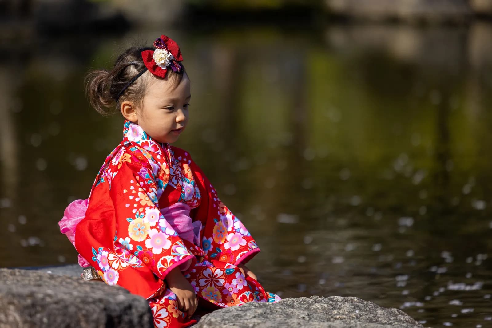 Little girl wearing traditional red kimono sitting by a pond during shichi go san festival