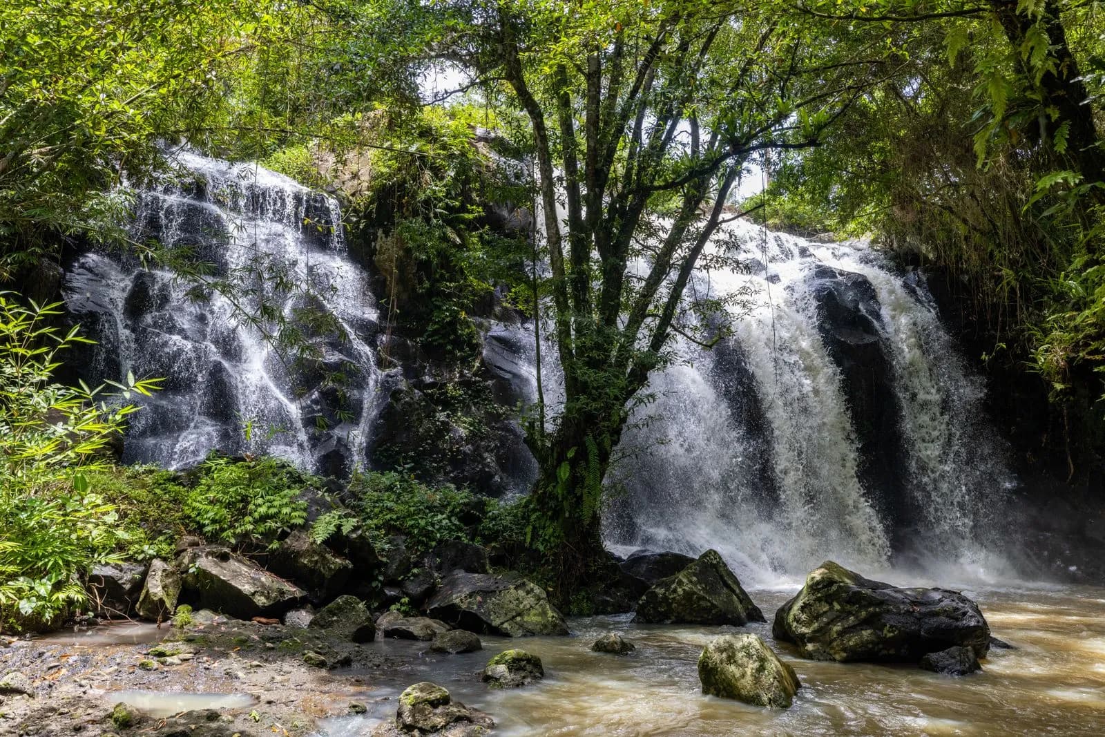 Scenic tropical waterfall flowing over dark rocks in a lush green rainforest environment